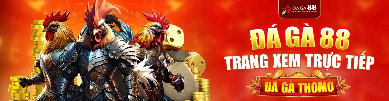 Giao diện cá cược thể thao trực tiếp với tỷ lệ cược thay đổi liên tục