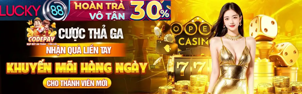 Giấy phép hoạt động Thomo68